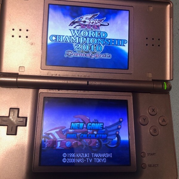 Nintendo DS World Championship 2010 - Picture 2 of 3